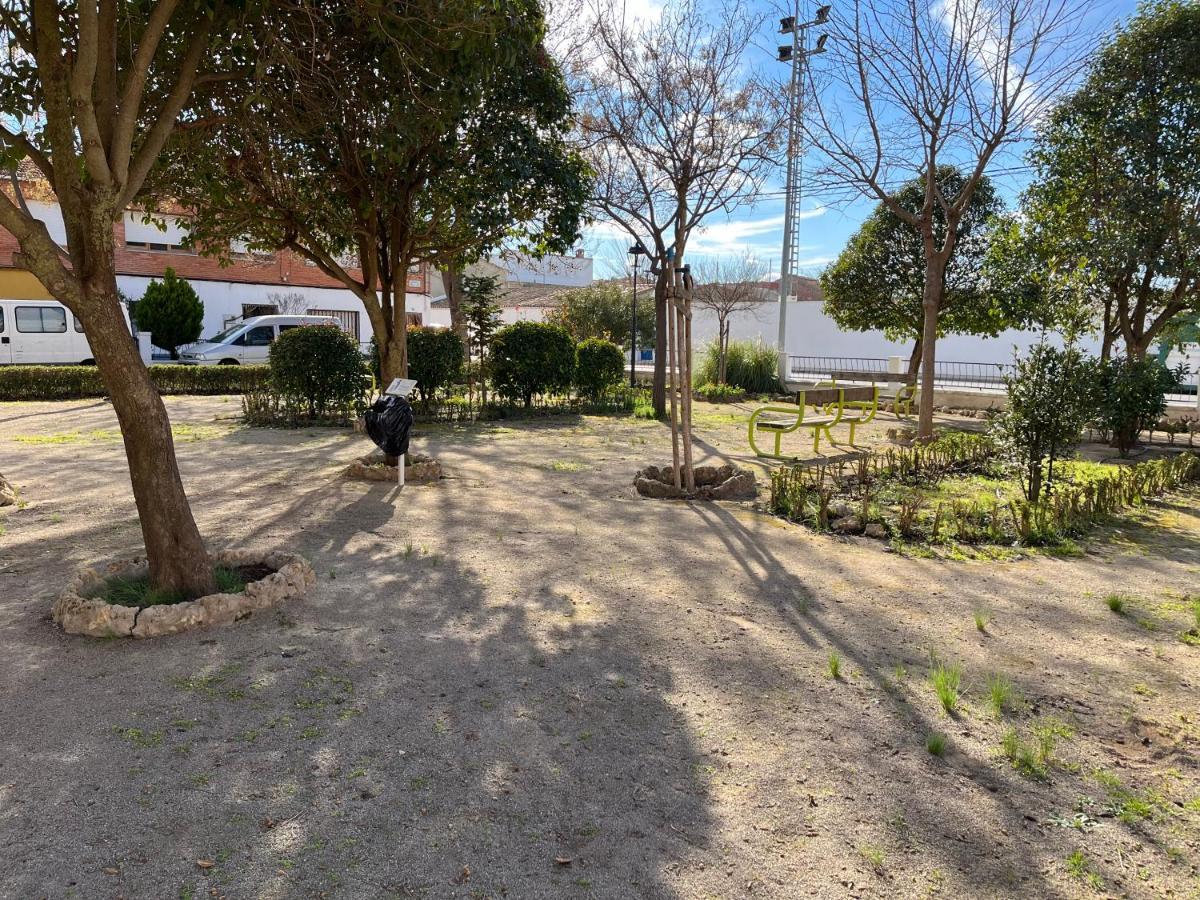 Paz Jardin-madrigueras