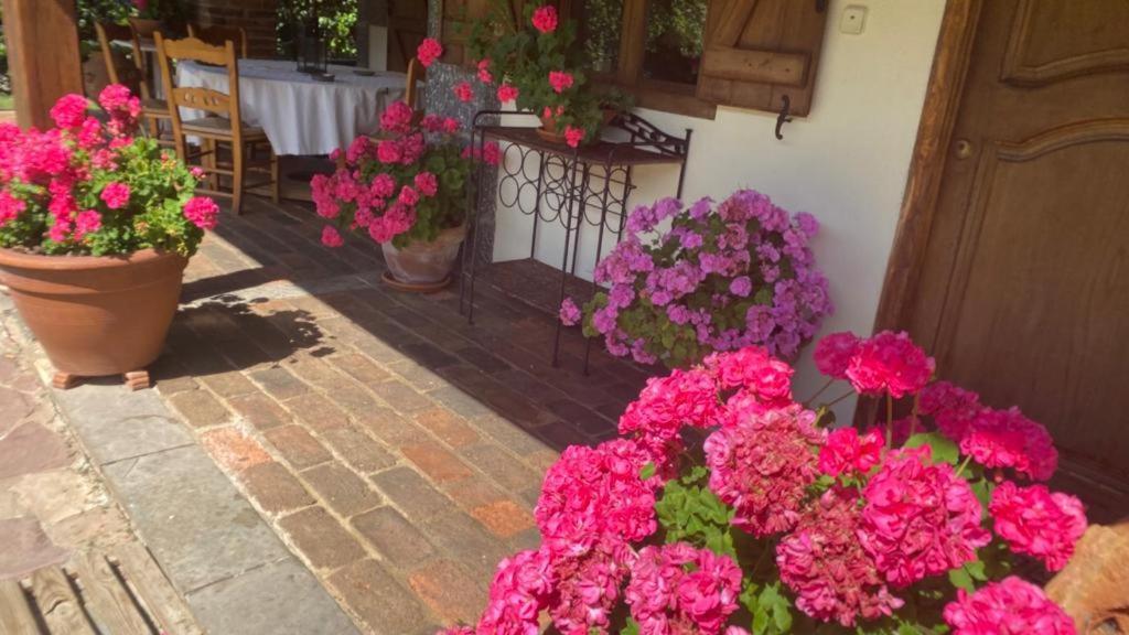 Excepcional Casa El Olivo Holiday home *