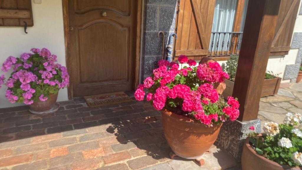 Excepcional Casa El Olivo Holiday home