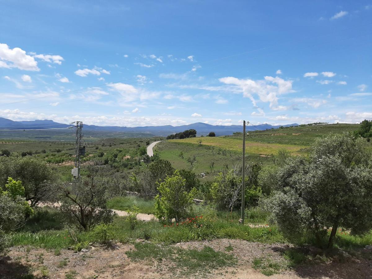 Garnacha De Guest *