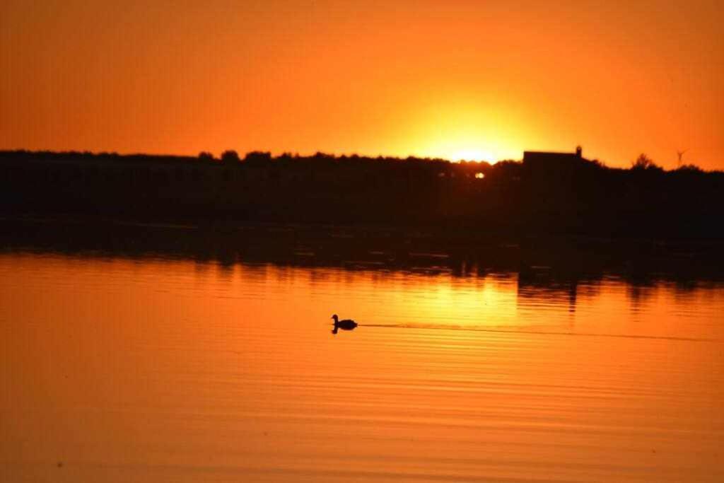 Сasa de vacaciones El Pez Casa Con Piscina Climatizada Villafranca de los Caballeros