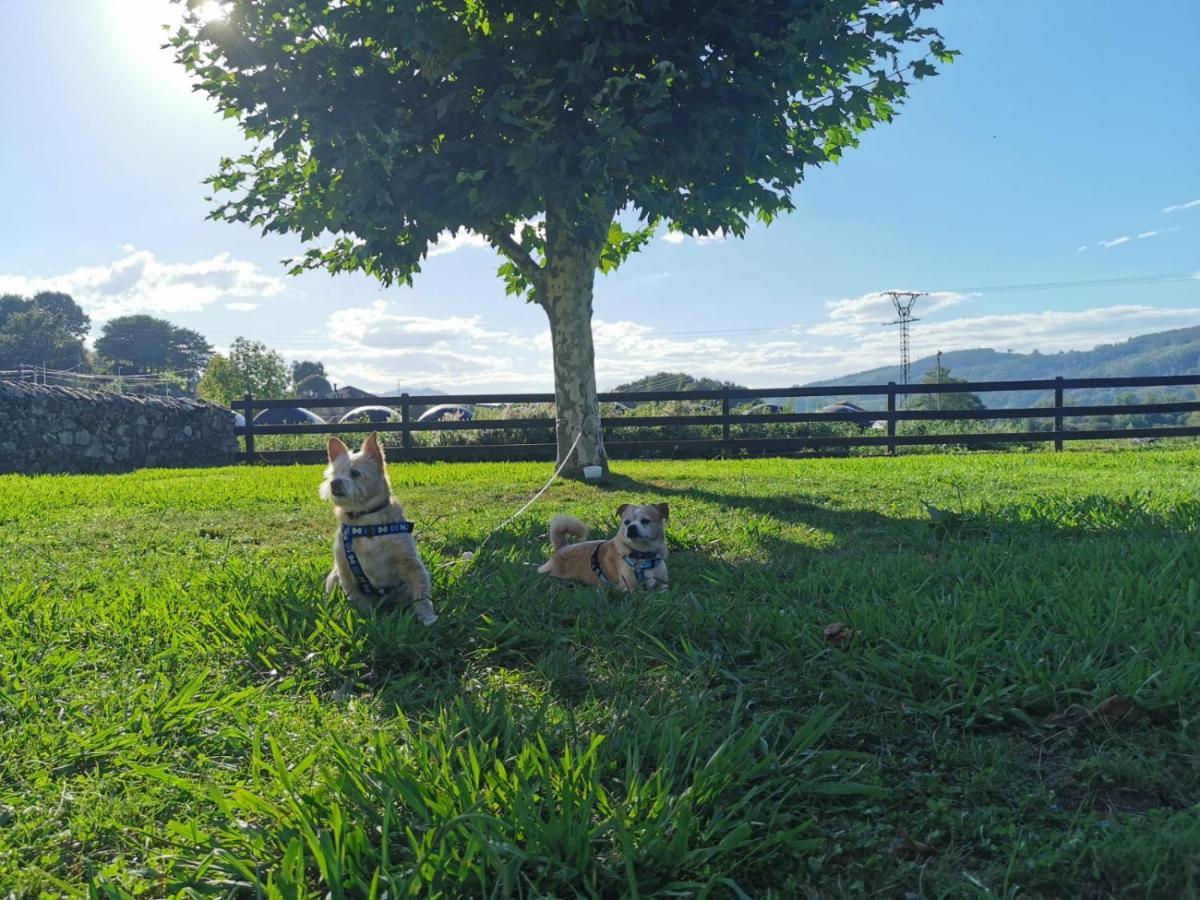 El Espesedo De Cabárceno Casa rural *