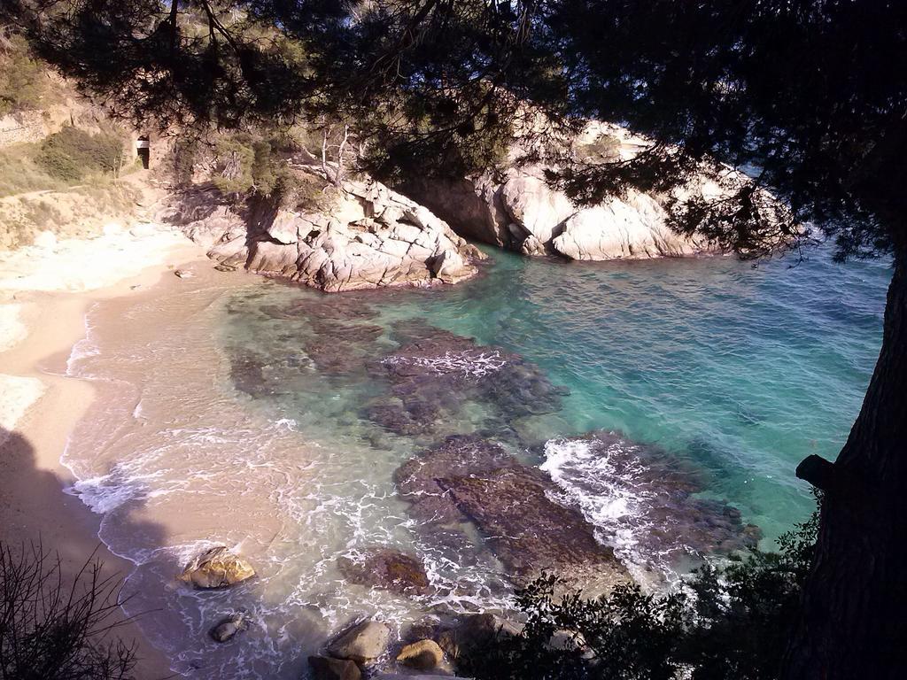 Guest house La Marina