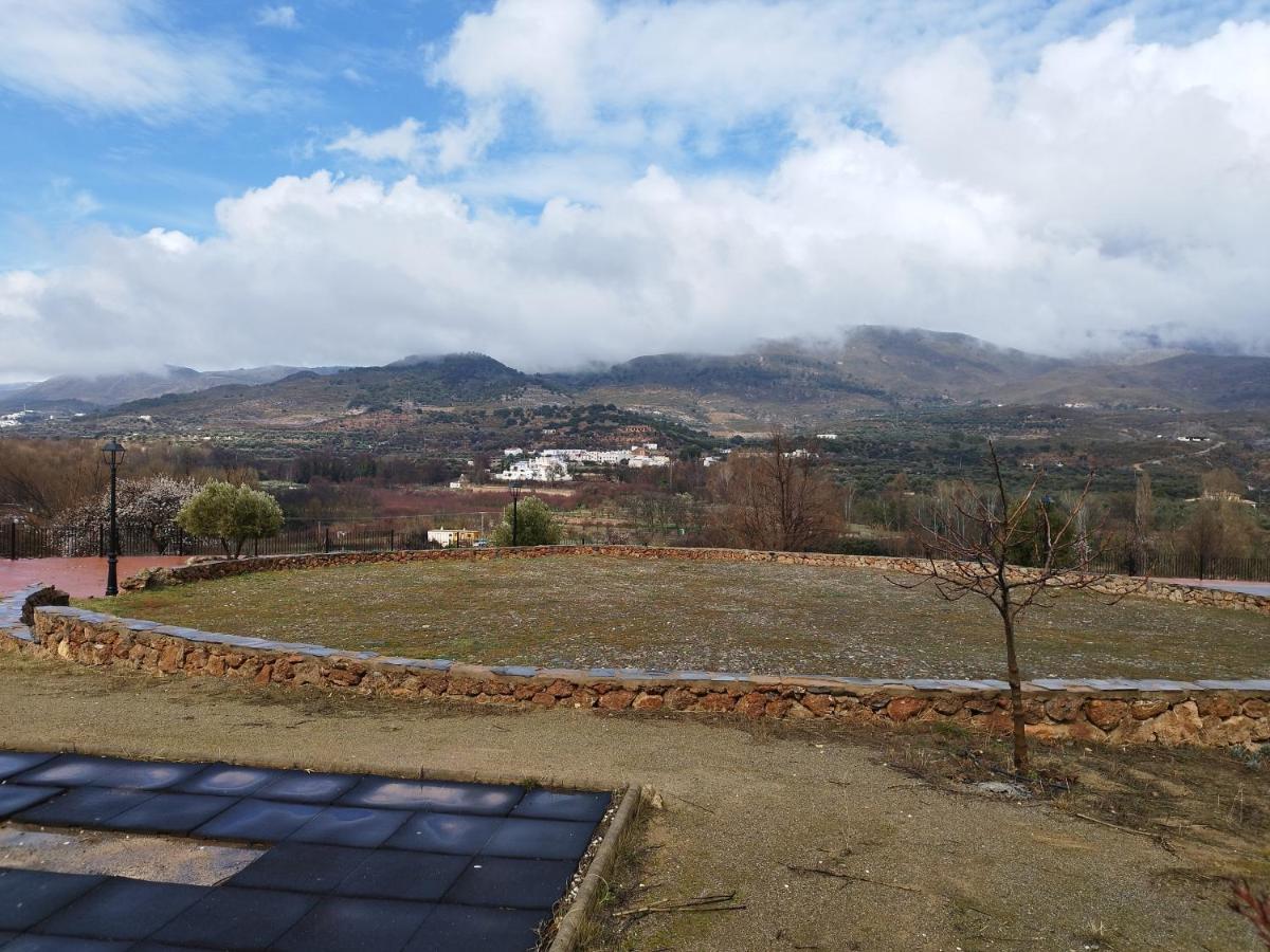 Olivos De * Fondón