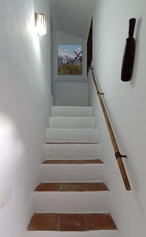 Casa De Mirasierra * Bedmar y Garciez