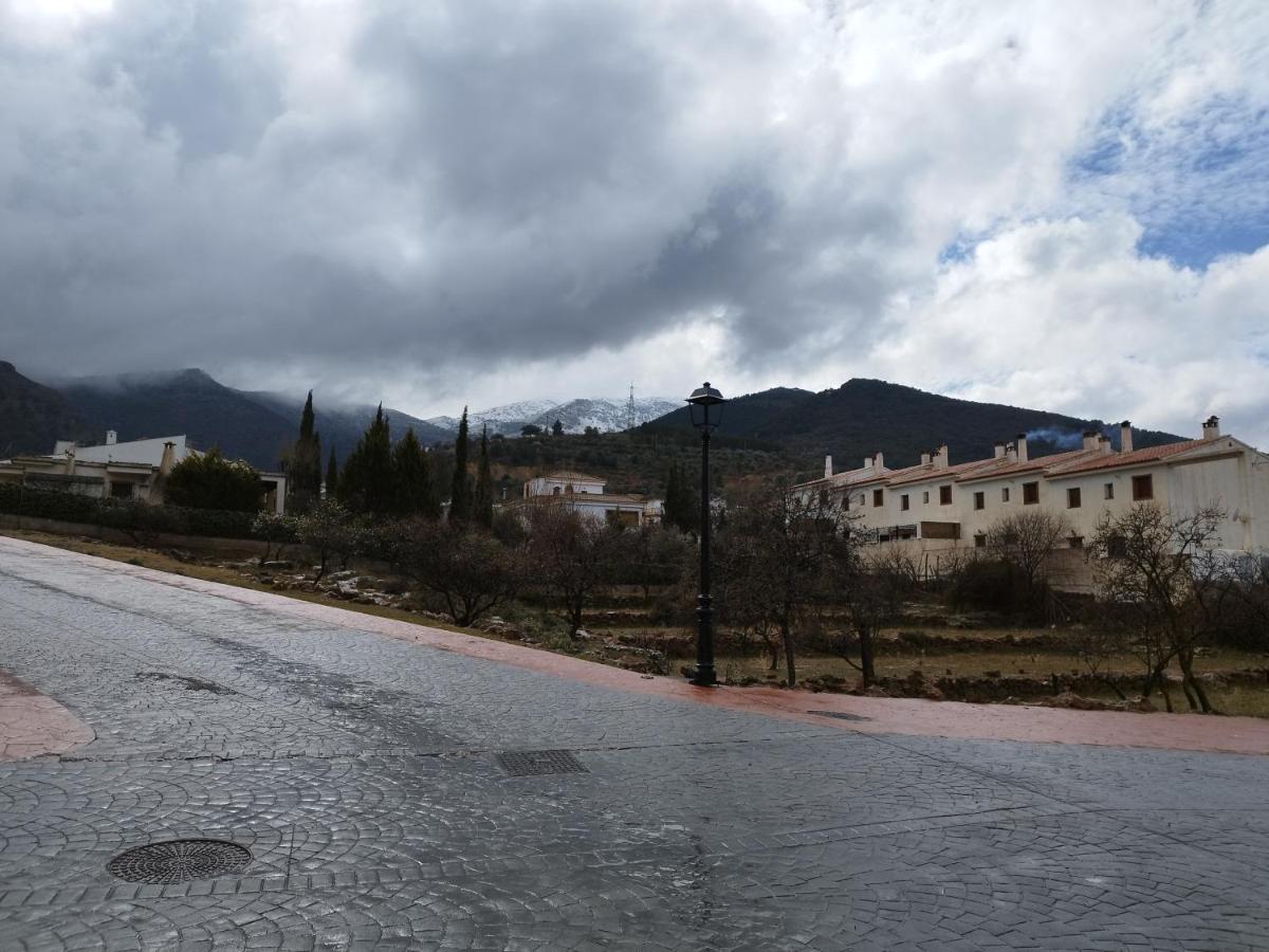 Olivos De * Fondón
