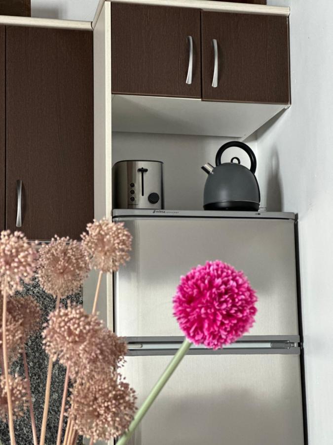 Apartamento Apart. Palacio Canónigo 7 - Junto Catedral *