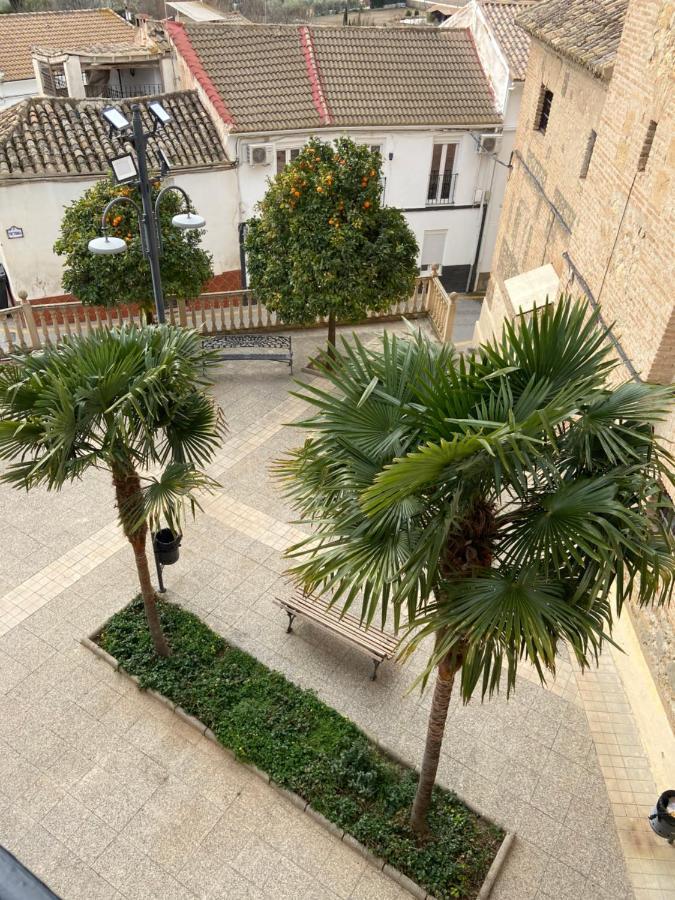 Apartamento Venus