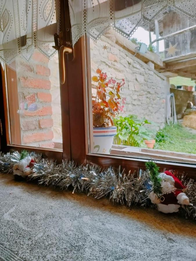 Apartamento Carroceu Rural