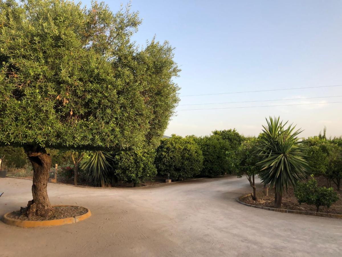 Сasa de vacaciones Casa Rural El Laure Villamartín