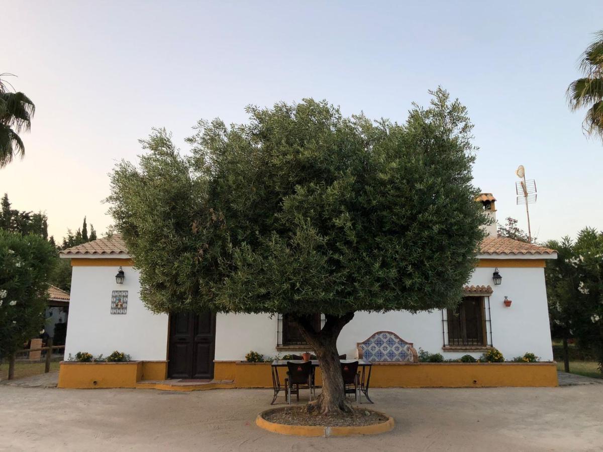 Сasa de vacaciones Casa Rural El Laure Villamartín