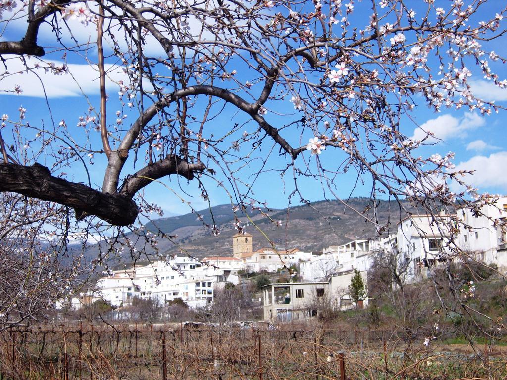 Casa Canales Cádiar