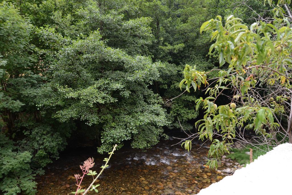 El Rincon De Limes