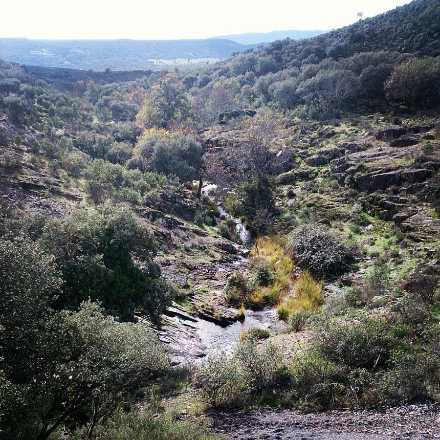 Casa Montes De Toledo Holiday home *
