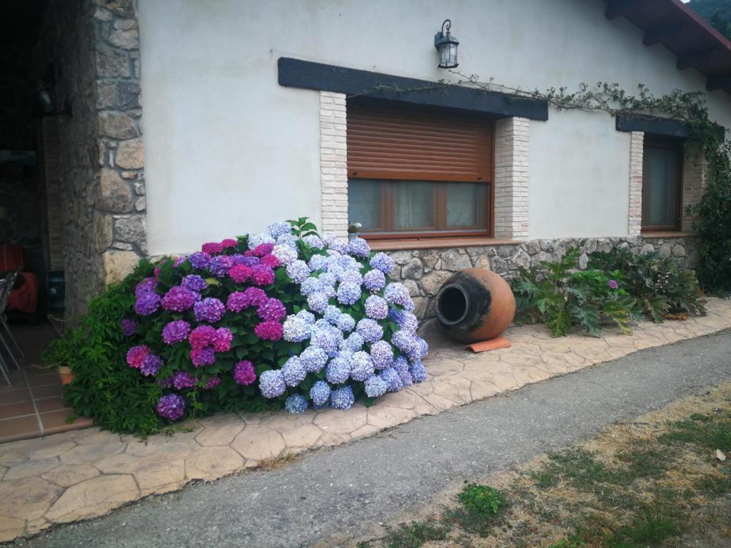 La Picotina Holiday home