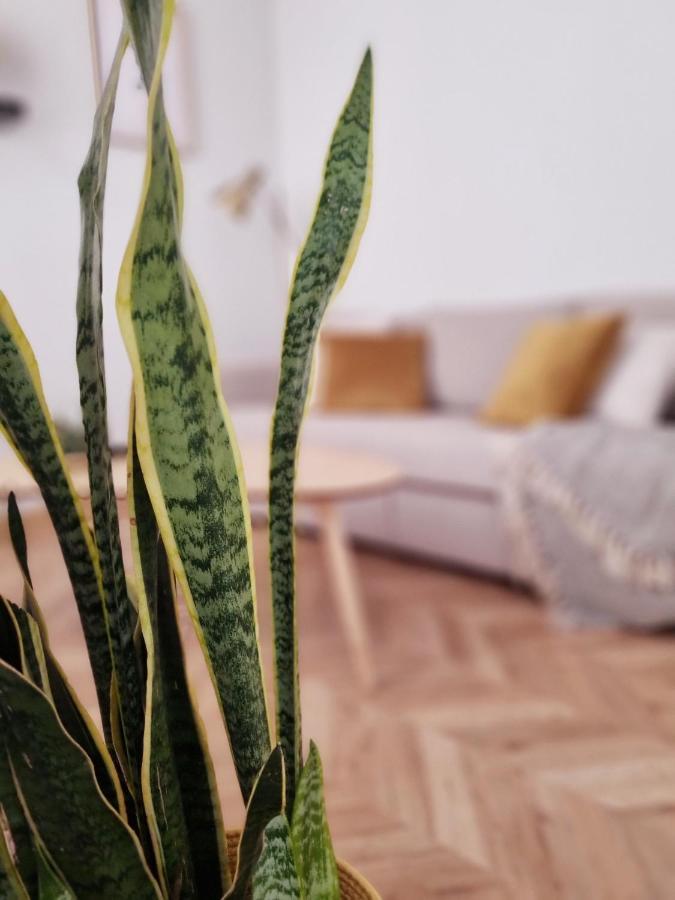 Apartment Cozy In The City Center Granada