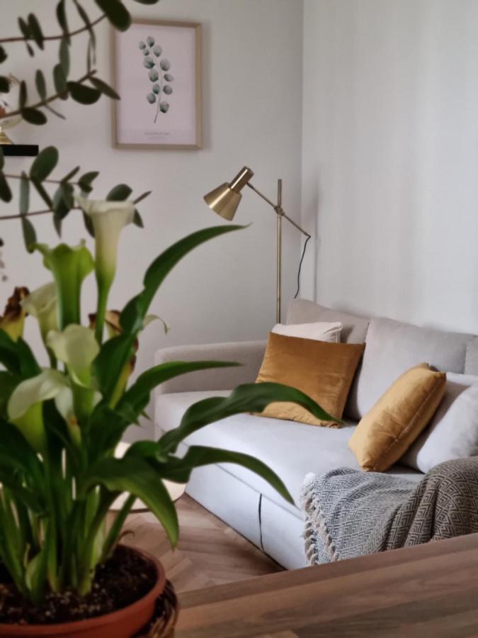 Cozy In The City Center