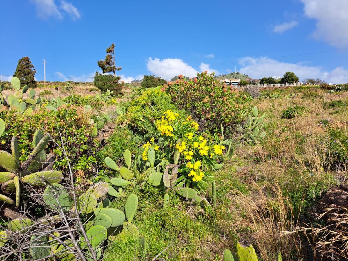 Casitas De Pao Holiday home El Pinar (El Hierro)