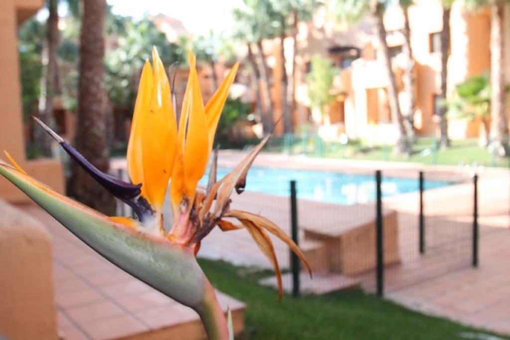 Apartamento Casa Hermana