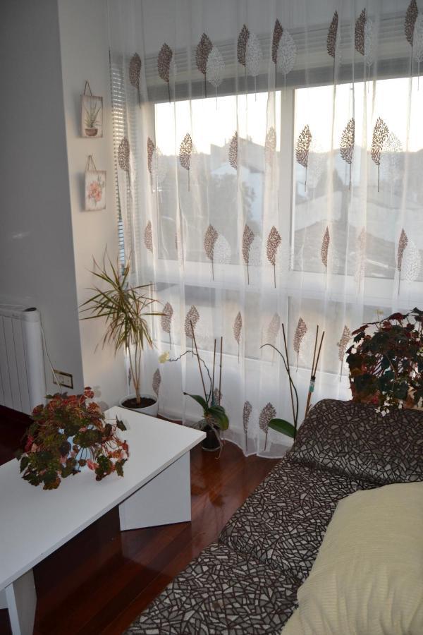 Guest house O Camino *