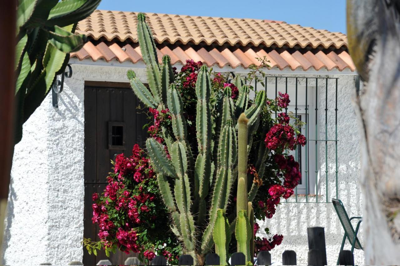 Apartamento Cortijo Flamingos Chiclana de la Frontera