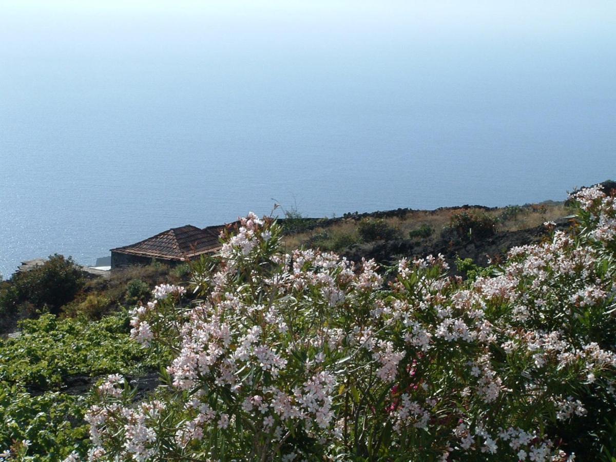 Сasa de vacaciones House The Vinas 2 With Views Of The Sea, The Mountains And The Volcanoes *