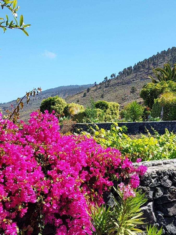 House The Vinas 2 With Views Of The Sea, The Mountains And The Volcanoes Fuencaliente de la Palma