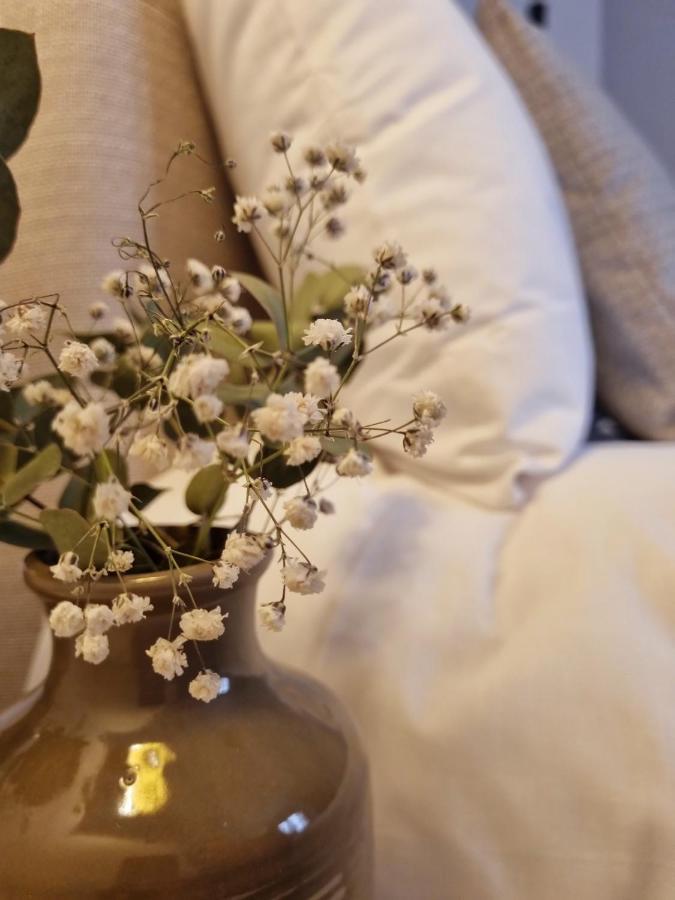 Cozy In The City Center * Granada