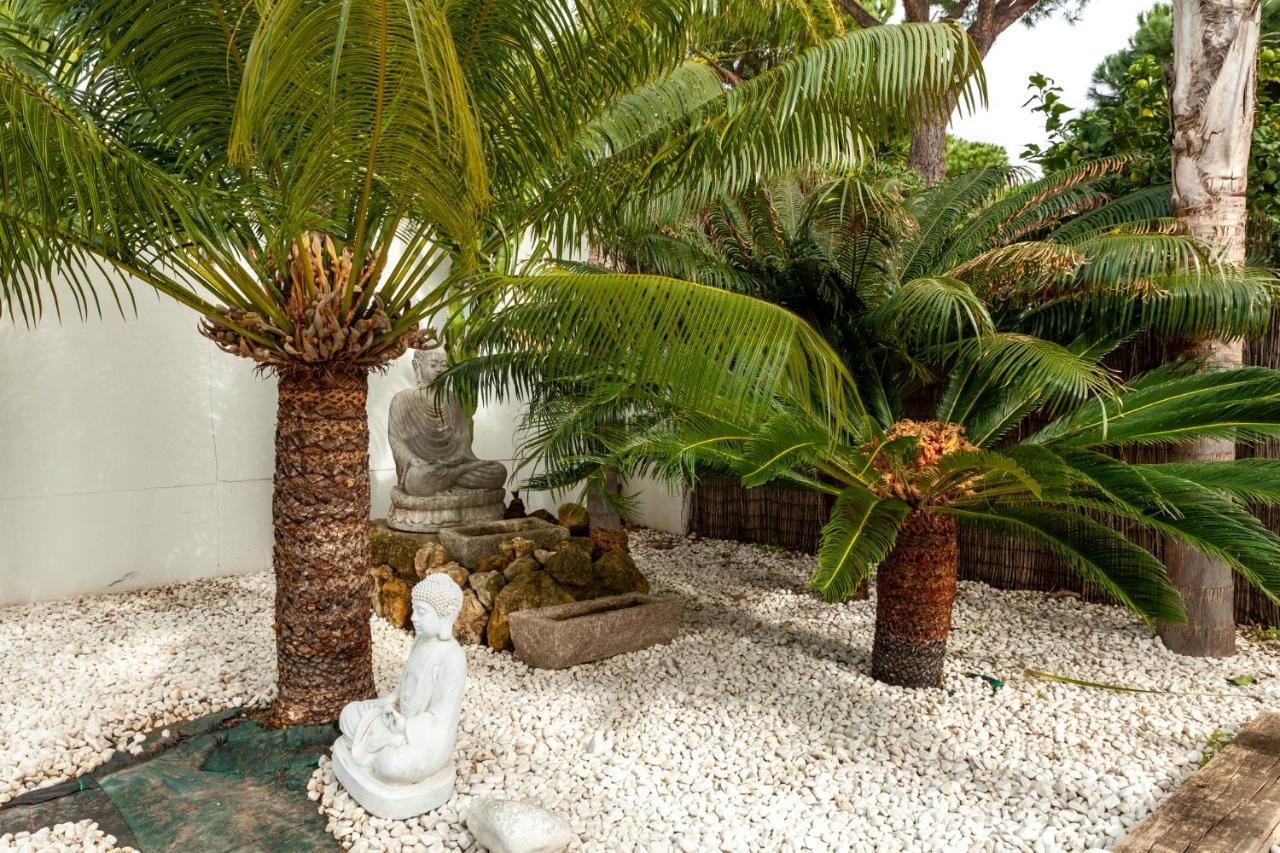 Con Piscina Privada En