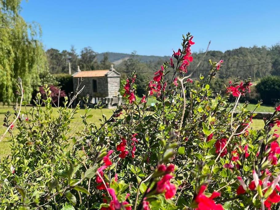 Holiday home Lugar Do Curro, San Martino De Ozon *