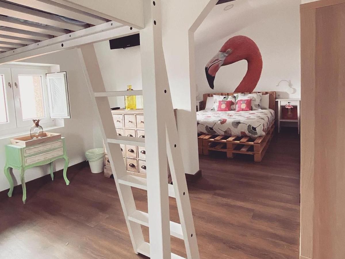Cocos Surfhouse Hostel *