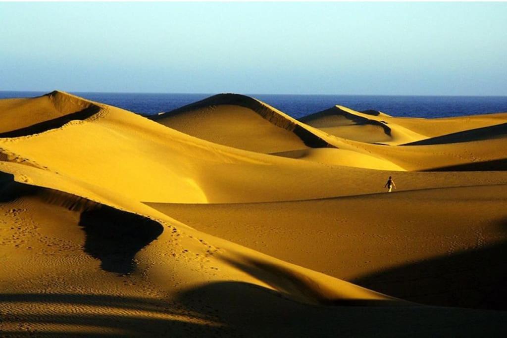 Caribe 530 Playa del Ingles (Gran Canaria)