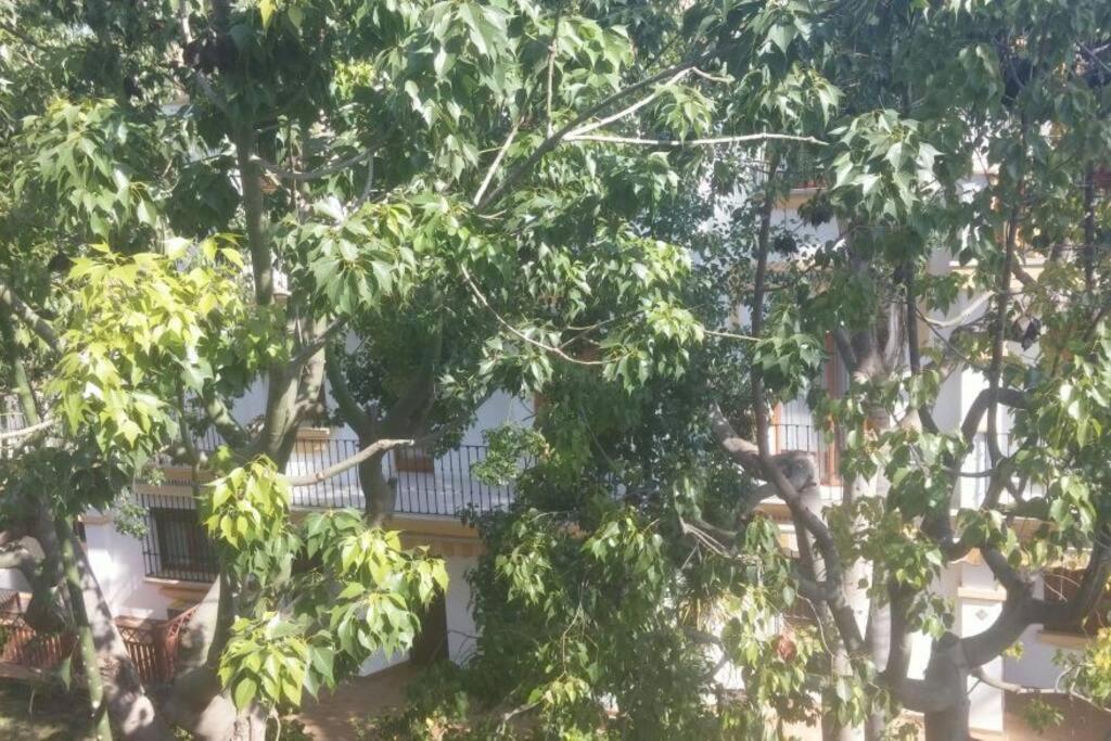 Increible En Urb El Patio Dénia