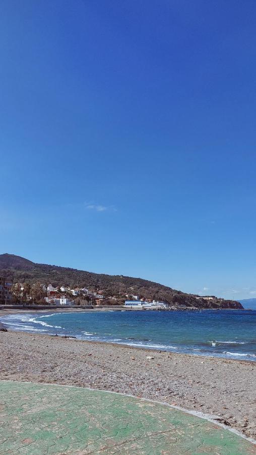 Guest house Vista Al Mar