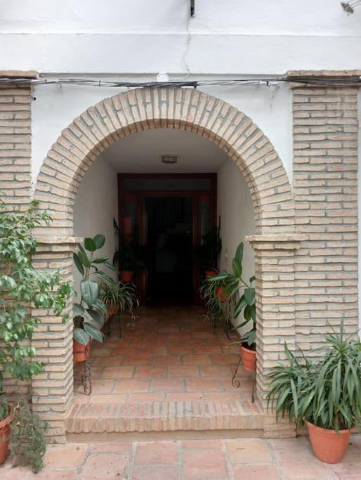 Apartment Apartamento Santa Florentina