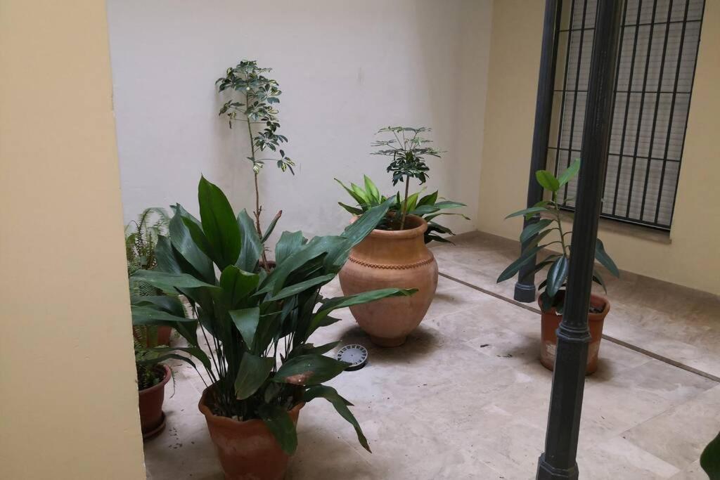 Con Encanto, Romantico, Con Vistas. Apartment *