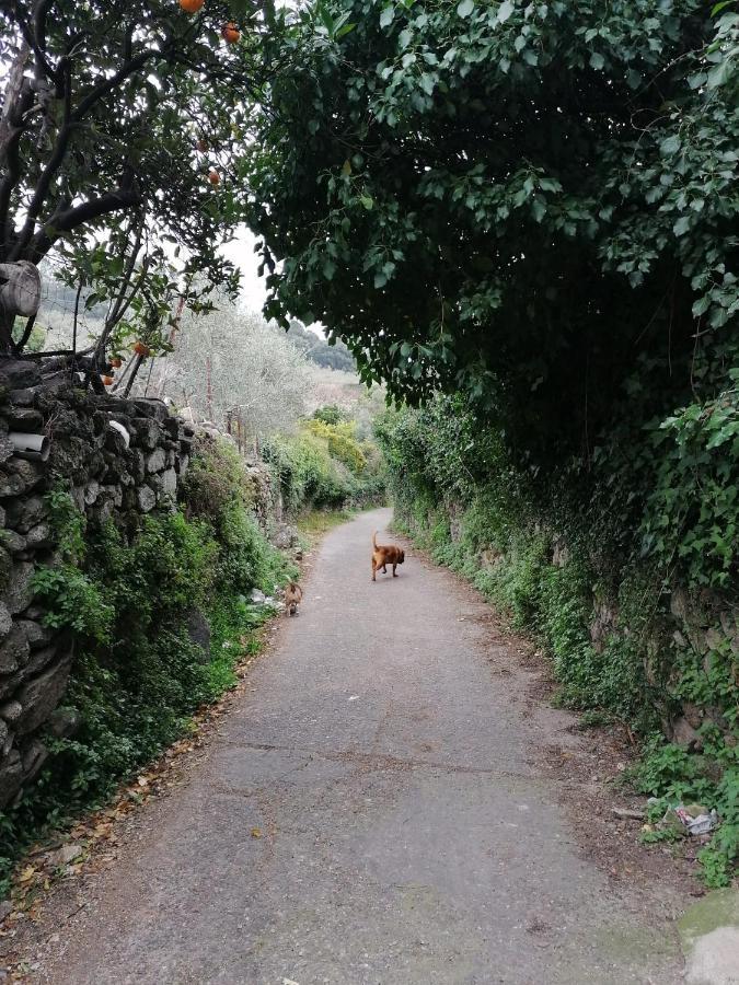 La Torrita *