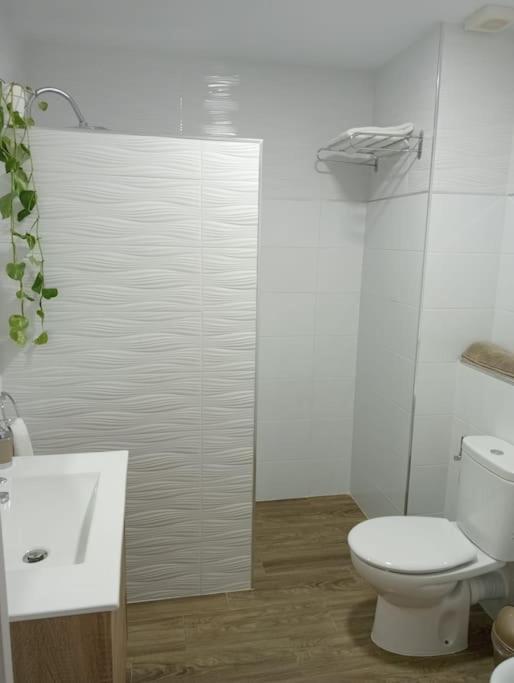 Apartamento Santa Florentina * Ecija