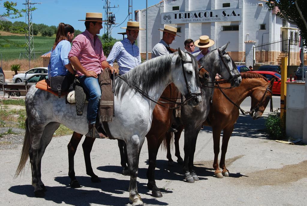 Los Barrancos