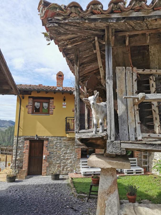 Carroceu Rural Apartamento Onís