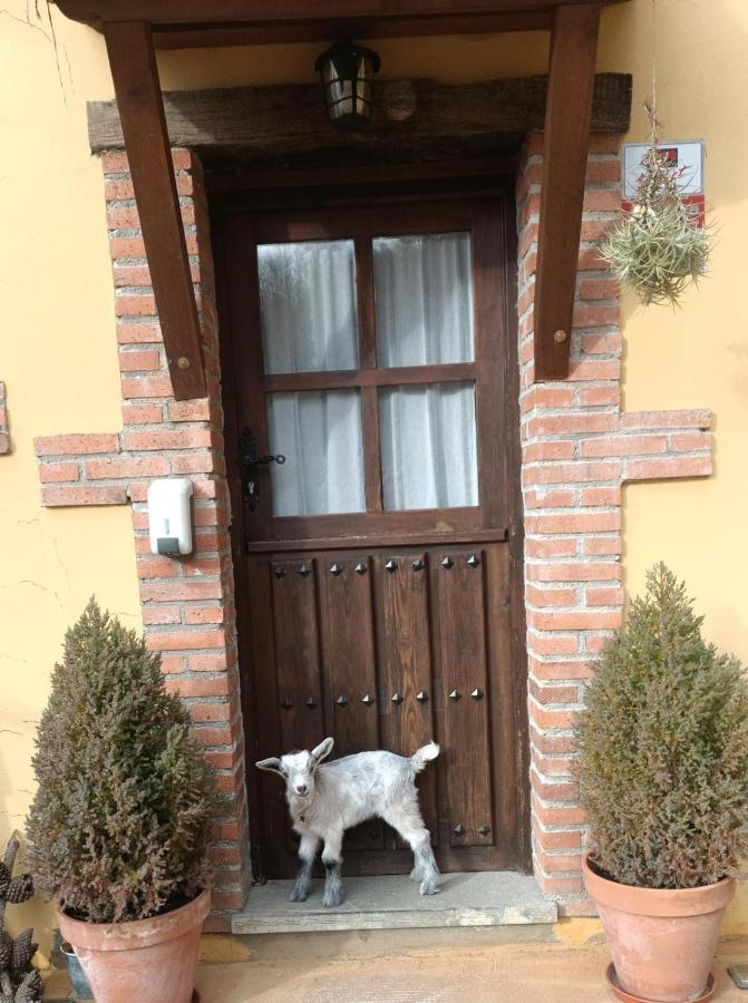 Carroceu Rural Apartamento Onís