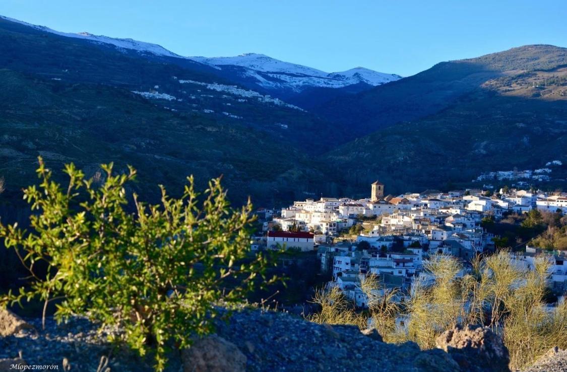 El Montoro Guest house