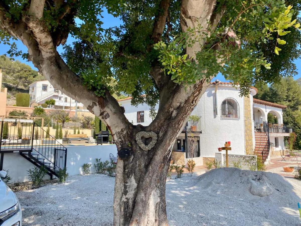 Lovely 2 Bed In Apartamento Alcalalí