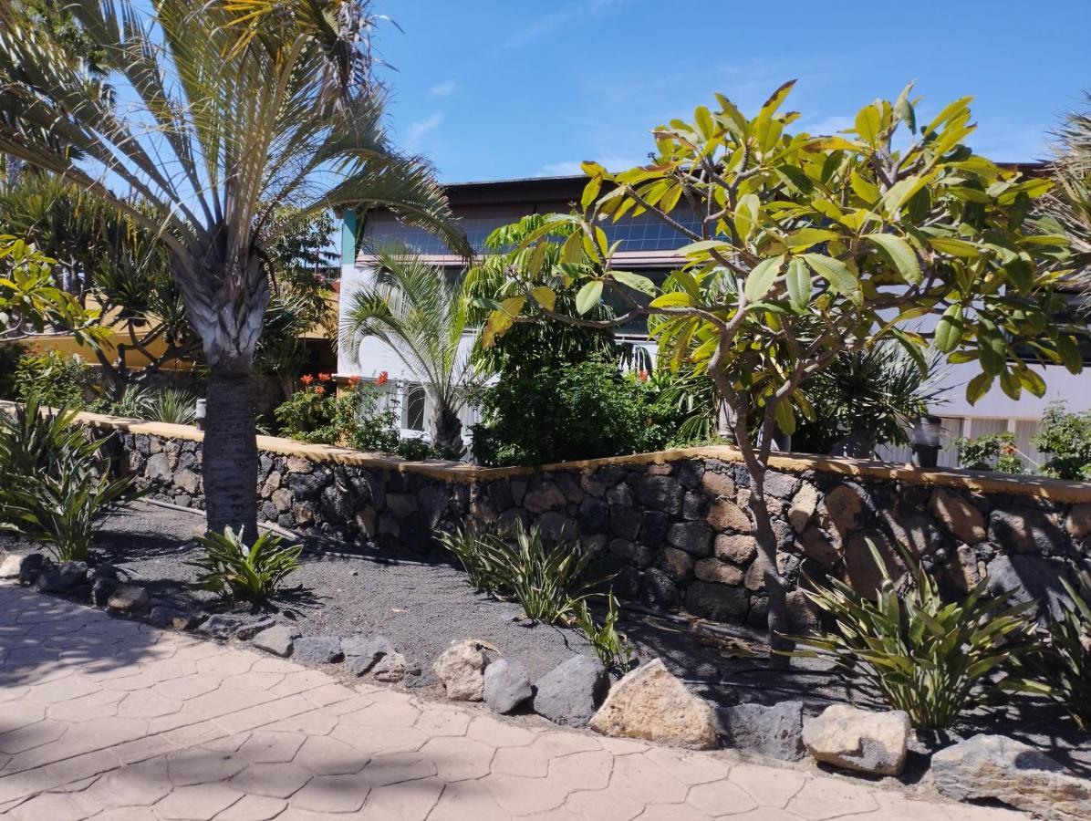 Vv Dos Dormitorios Papagayo 79 Corralejo