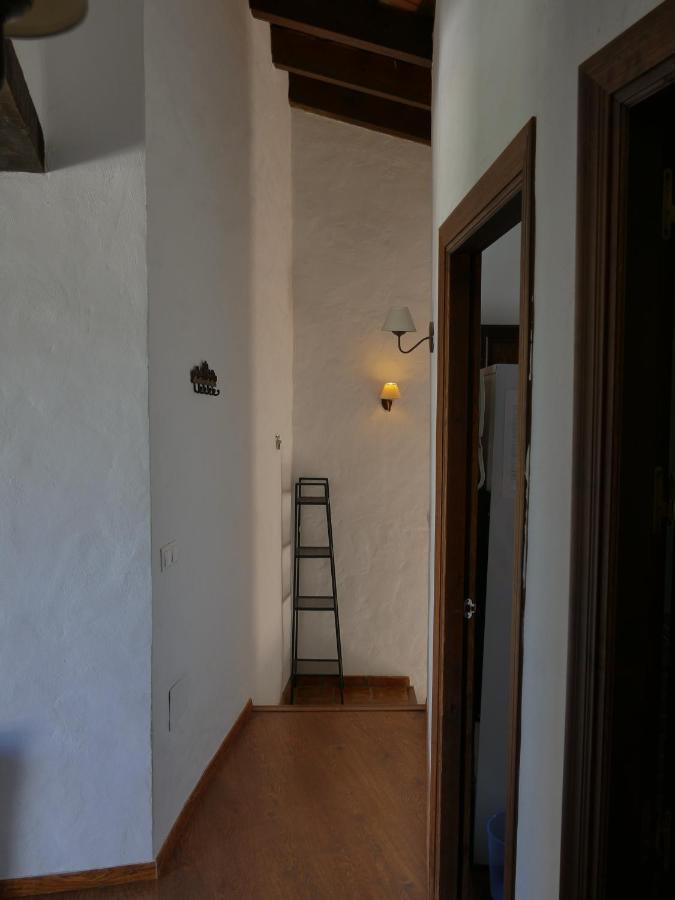Luz Y Sol
