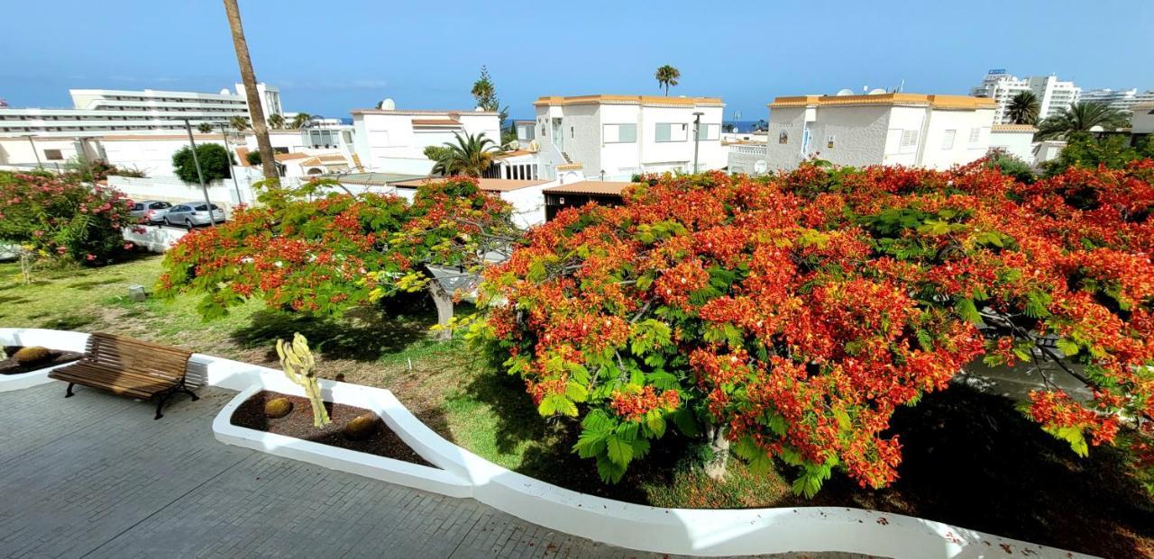 Tenerife Americas Bungalow Apartment *