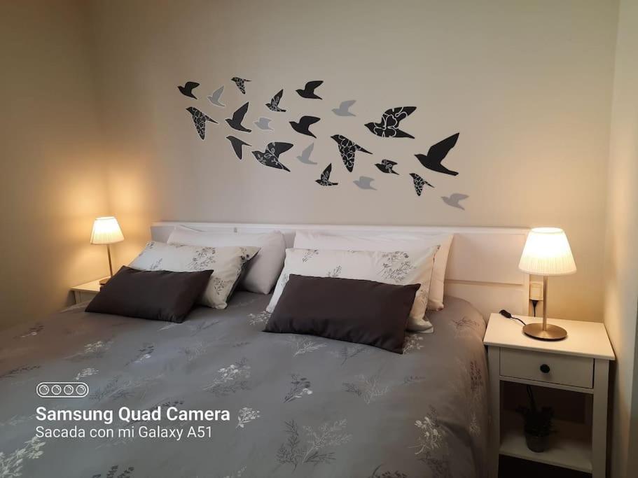Exclusivo En Canet * Canet d'En Berenguer