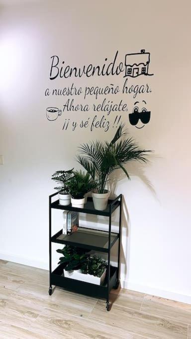 Apartamento Centrico Y Acogedor Eva *