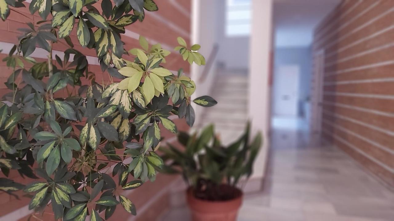 Apartamento Del Parque Flats Catedral Exclusive