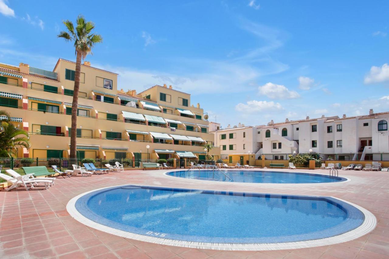 Halcon -